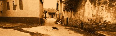 KediliPan.jpg