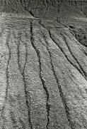 Camur2.jpg