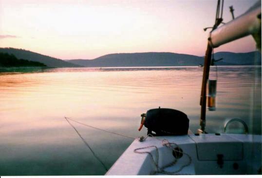 image007