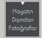 sergi1icon